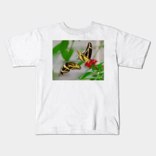 Tiger swallowtail butterflies Kids T-Shirt